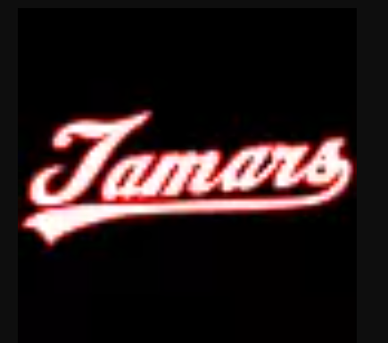 電気通信大学軟式野球サークルたまぁ～ず